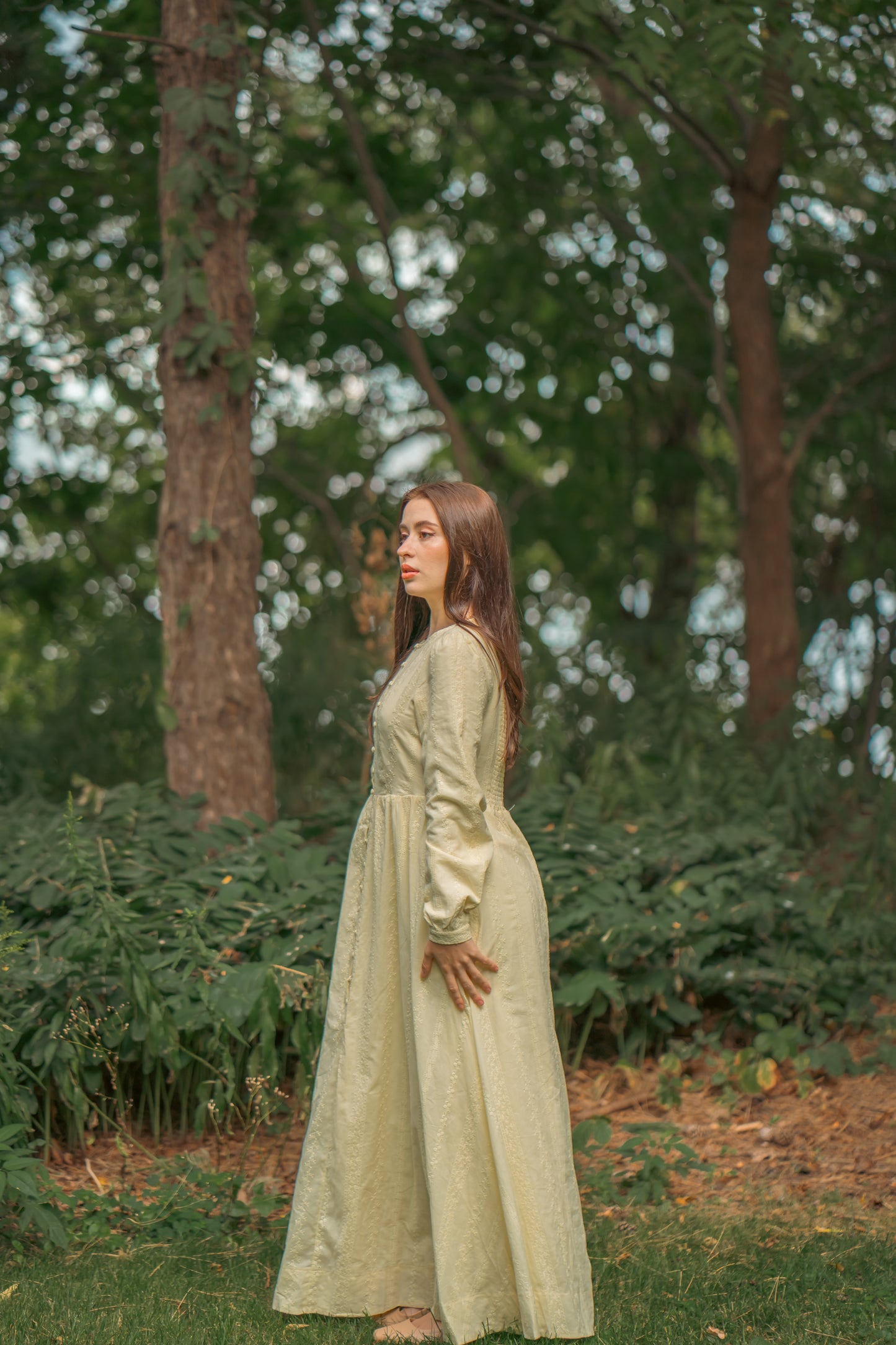 Amal Embroidered Cotton Maxi Dress - Butter Yellow