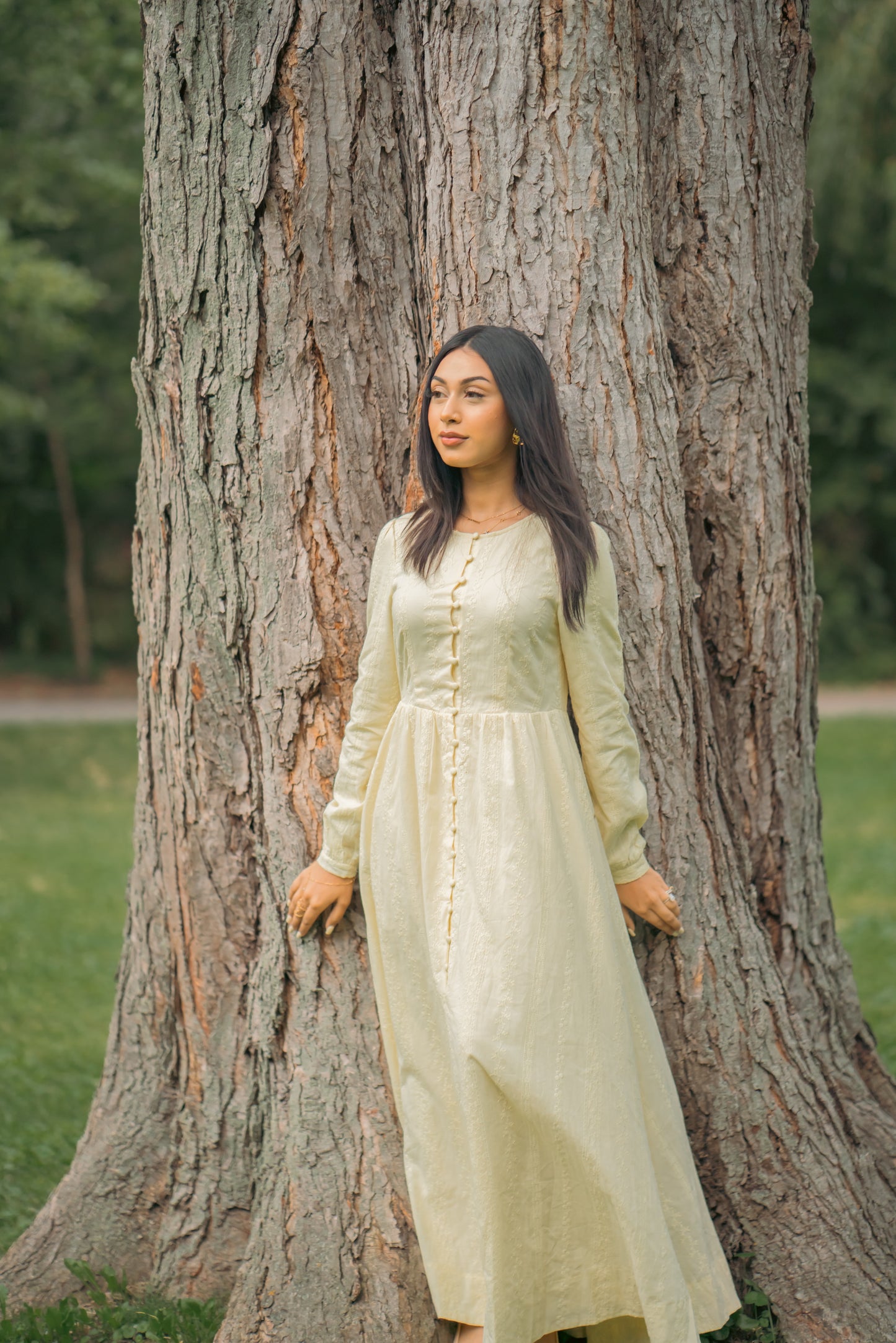 Amal Embroidered Cotton Maxi Dress - Butter Yellow